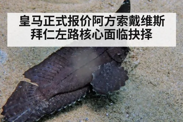 皇马正式报价阿方索戴维斯 拜仁左路核心面临抉择
