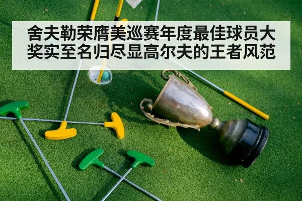 舍夫勒荣膺美巡赛年度最佳球员大奖实至名归尽显高尔夫的王者风范