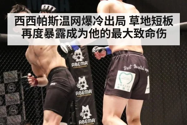 西西帕斯温网爆冷出局 草地短板再度暴露成为他的最大致命伤